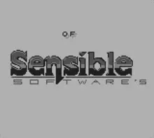 Image n° 1 - screenshots  : Sensible Soccer